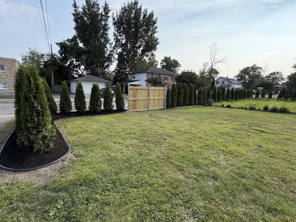 Freshly installed arborvitae privacy hedge and new lawn by Land & Snow Services