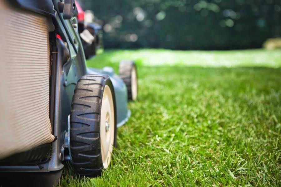 Mower cutting a healthy green lawn